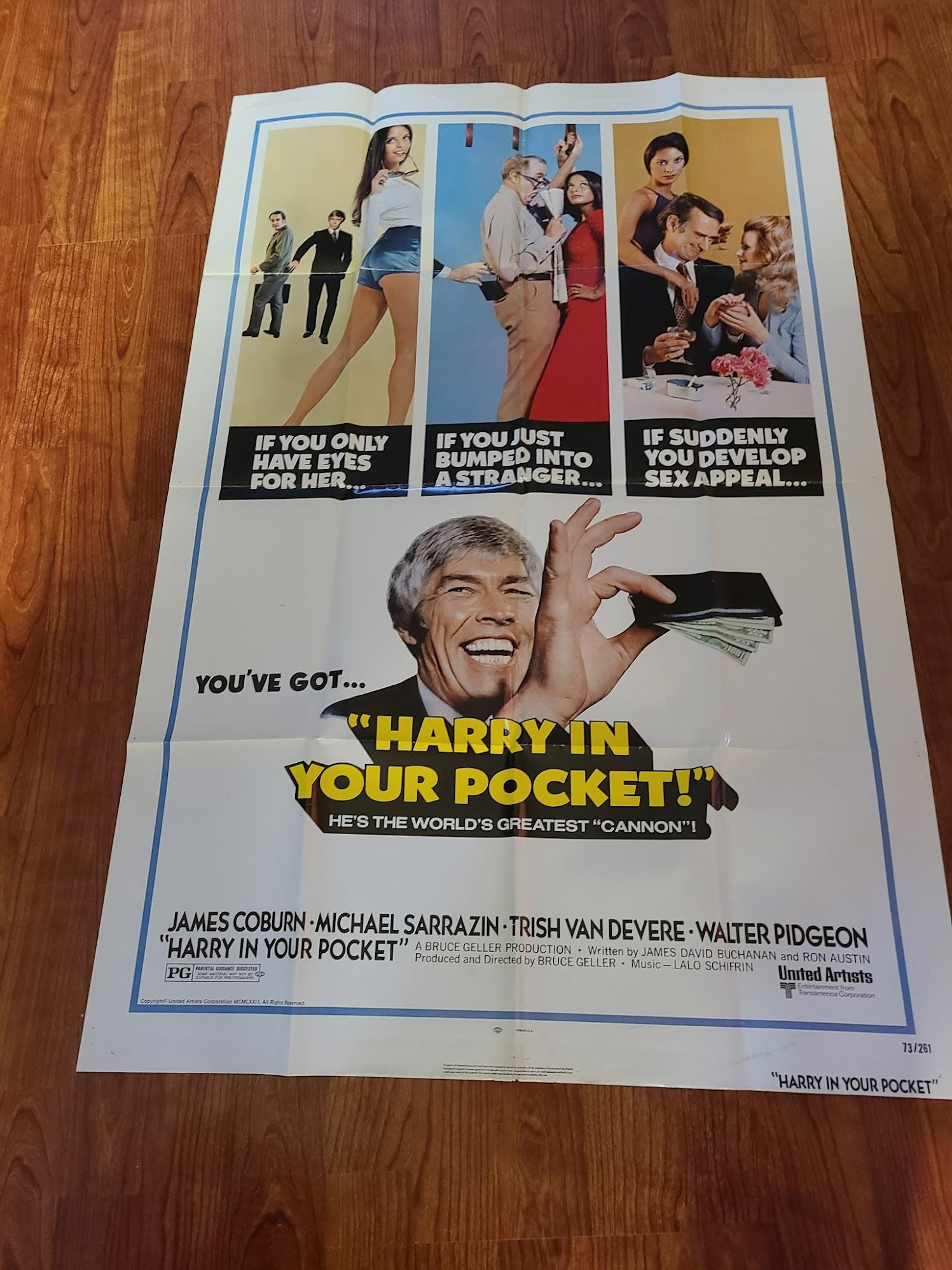 Harry in Your Pocket - 1 Sheets/US